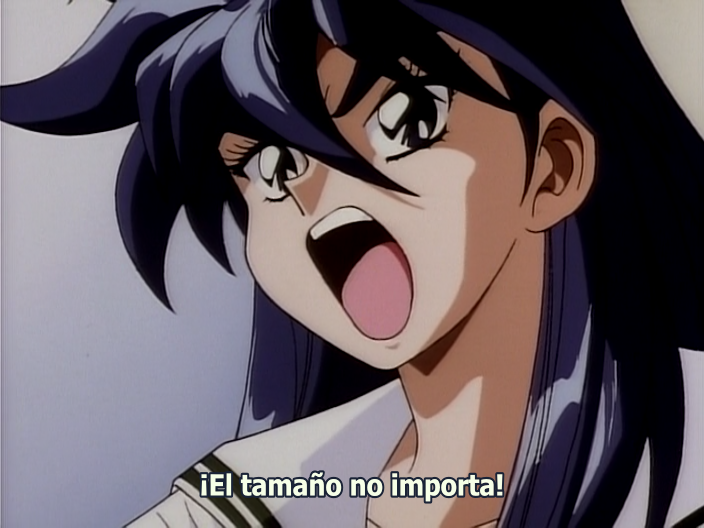 Sailor Victory (Fansubber)